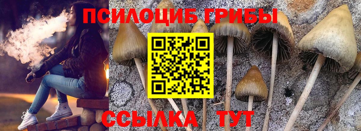 Псилоцибиновые грибы MAGIC MUSHROOMS  Галлюциногенные грибы мицелий  Вход с VPN  Канаш 